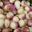 Rzepa pastewna Marco - 100 g