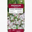 Gaura - Gaura lindheimeri