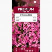 Diaskia Pink Queen