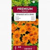 Gazania Orange With Ring