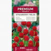 Gomfrena Strawberry Fields - truskawkowe pola, na suche bukiety