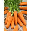 Marchew Chantenay - bardzo wczesna - duże opakowanie - 100 gram
