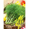 Koper ogrodowy Sprinter - 100 gram