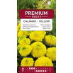 Aksamitka Calando - wzniesiona, karłowa, żółta
