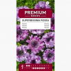 Petunia Superbissima Rosea - olbrzymie kwiaty do 16 cm