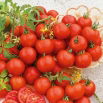 Pomidor Harzfeuer F1 - gruntowy, znany i ceniony w Europie
