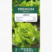 Sałata Lento - głowiasta, masłowa, do uprawy całorocznej