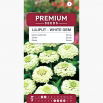 Cynia wytworna Liliput White Gem - biała