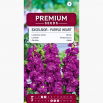 Lewkonia letnia Excelsior Purple Heart