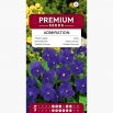 Fiołek rogaty Admiration - fioletowoniebieski