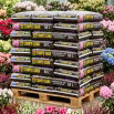 Podłoże do rododendronów i hortensji - Compo Sana - 50 litrów - paleta 45 szt.