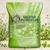 Saletra potasowa - nawóz azotowo-potasowy do ogrodu - 2 kg