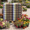Podłoże do pelargonii i roślin balkonowych - Kronen - 50 litrów - paleta 51 szt.