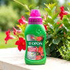Nawóz do dipladenii i sundaville - duże kwiaty i zdrowe liście - Biopon - 300 ml