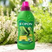 Nawóz do roślin zielonych przeciw chlorozie - Biopon - 500 ml
