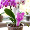 Nawóz do storczyków w formie aplikatora - Vital Complex - Florovit - 30 ml