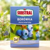 Nawóz zakwaszający do borówek - Substral - 1 kg