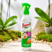 Regenerator do storczyków - wspomaga ponowne kwitnienie - Florovit - 250 ml