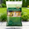 Trawa Gazonowa - dosiewka, do regeneracji ubytków w trawniku - 100 g