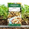 Orzech ziemny