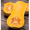 Dynia piżmowa Butternut