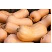 Dynia piżmowa Butternut