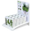 Oregano w ceramicznym wazonie - Ogródek ziołowy w naszej kuchni.