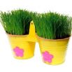 Trawa dekoracyjna - Funny Grass w - zielone