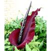 Smocza lilia - Dracunculus vulgaris