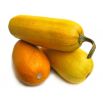 Dynia makaronowa Pyza