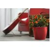 Doniczka Coubi Duo śr. 15 cm - Bordowa