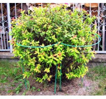 Podpora do roślin półokrągła, metalowa - 35 cm