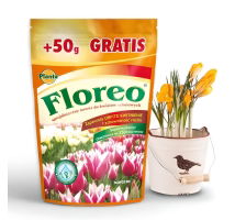 Floreo - Specjalistyczny nawóz do kwiatów cebulowych - Planta - 250 g