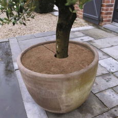 Osłona przed zimnem na korzenie z maty kokosowej - śr. 60 cm - 3 szt.