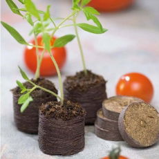 Pęczniejące krążki torfowe 44 mm - 12 szt.