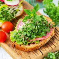 Microgreens - Brokuł - młode listki o unikalnym smaku