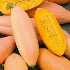 Dynia Pink Banana Jumbo