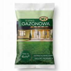 Trawa Gazonowa - dosiewka, do regeneracji ubytków w trawniku - 100 g