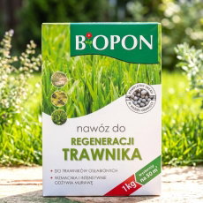Nawóz do regeneracji trawnika - Biopon - 1 kg