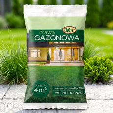 Trawa Gazonowa - dosiewka, do regeneracji ubytków w trawniku - 100 g