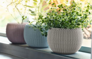 Zestaw trzech doniczek na zioła - Cozies Trio - śr. 15 cm - mix pasteli