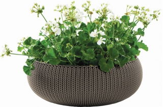 Doniczka niska Cozies - misa - śr. 54 cm - ciemnobrązowa