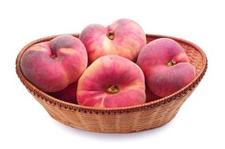 Brzoskwinia Saturn - sadzonka XXL