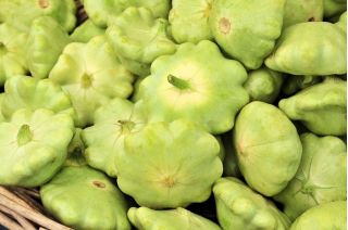 Patison Okra - zielony