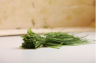 BIO Szczypiorek - Certyfikowane nasiona ekologiczne