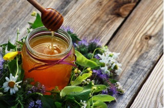 Mieszanka roślin miododajnych dzikich - 500 gram