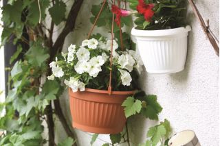 Doniczka wisząca Terra śr. 26 cm - Terakota