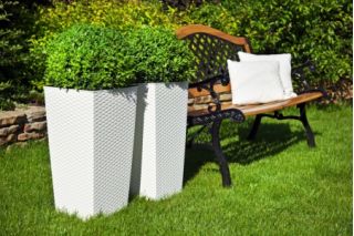 Doniczka kwadratowa wysoka Finezja + wkład - 19 cm - rattan biała
