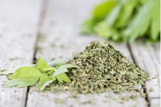 Seler listkowy Green cutting - na susz