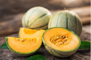 Melon Bosman